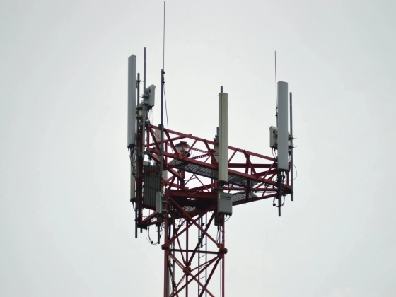 Communication in a Global  Workplace:Issues and Challenges